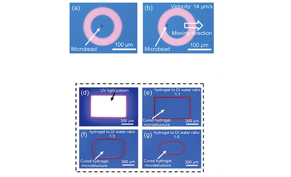 Topographic micropattern fabrication through photopolymerization 