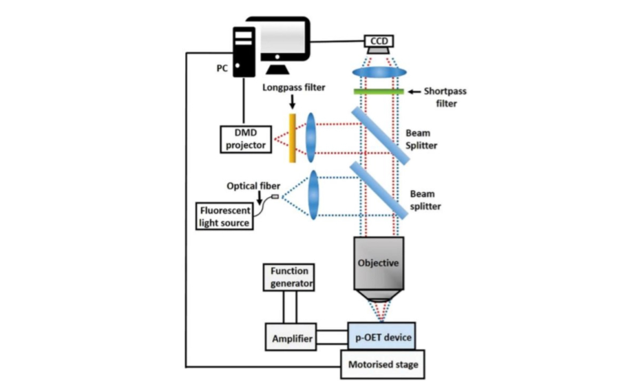 Optogenetics and optoelectronic experiments