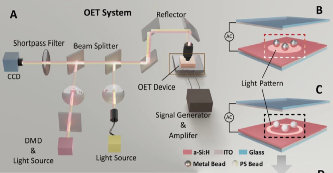 OptoBot®500 Featured in Leading Photonics Journal for Light-Controlled Assembly Innovation