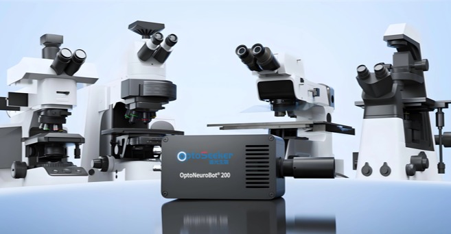How UV Projection Is Reshaping Cell Microenvironment Engineering